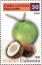 Coconut