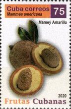 Yellow Mamey