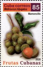 Mamoncillo