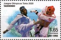 Taekwondo