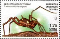 Trinimontius darlingtoni