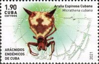 Micrathena cubana