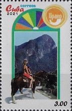 Mountain and Horseback Riding