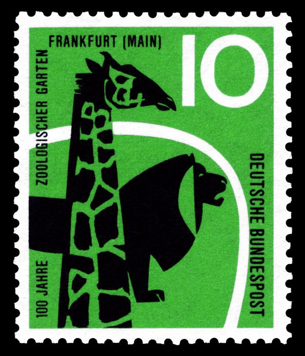 Giraffe and Lion