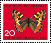 Small Tortoiseshell (Aglais urticae)