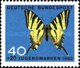Scarce Swallowtail (Iphiclides podalirius)
