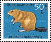 Eurasian Beaver (Castor fiber)