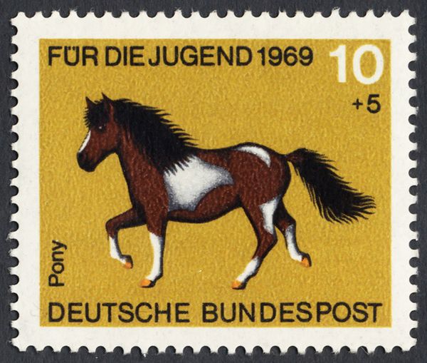 Pony