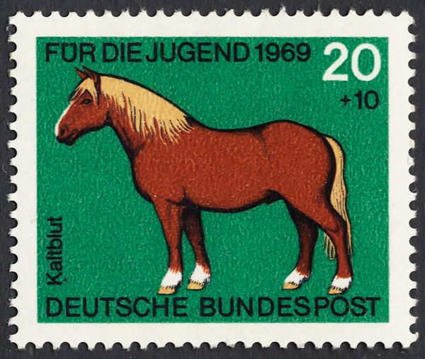 Draught Horse
