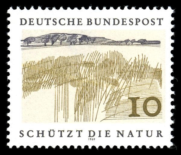 European Nature Preservation Year