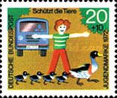 Boy protects ducks on the road