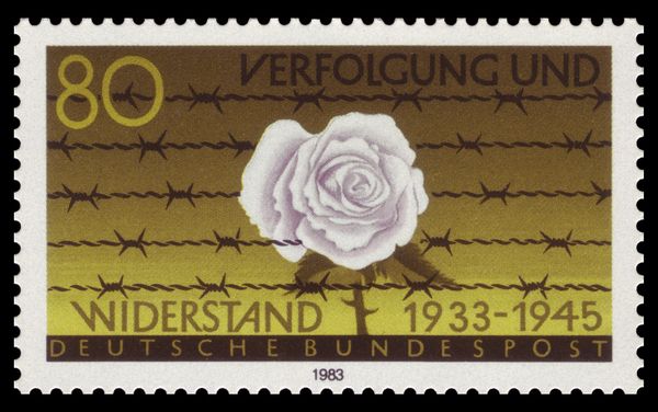 White Rose and Barbed Wire