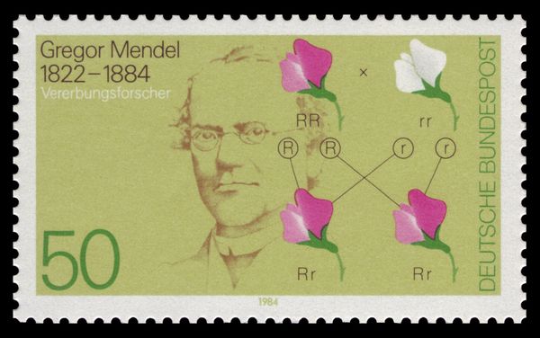 Death Centenary of Gregor Mendel (1822-1884)