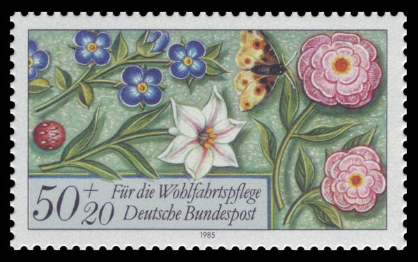 Flowers and Butterfly