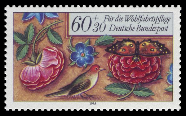 Flowers, Bird and Butterfly