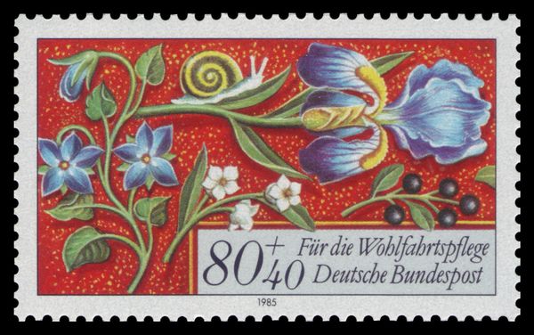 Flowers, Berries and Snail