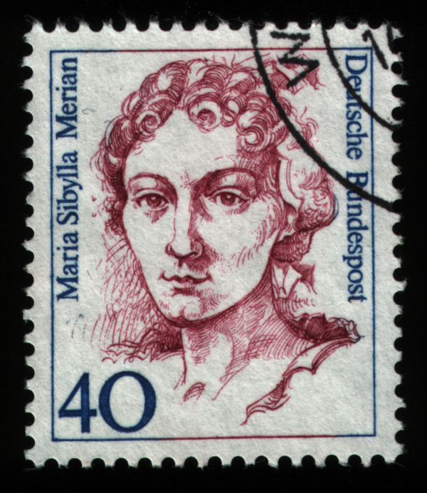 Maria Sibylla Merian (1647-1717)