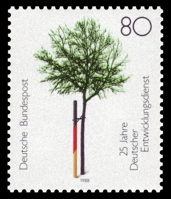 Tree supported by stake in National colours