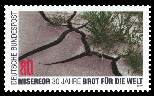 Grass growing from dry cracked earth