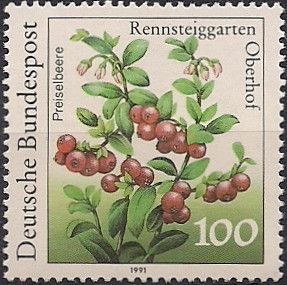 Cranberry (Vaccinium vitis-idaea)