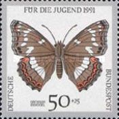 Poplar Admiral (Limenitis populi)