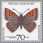 Violet Copper (Lycaena helle)