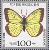 Moorland Clouded Yellow (Colias palaeno)