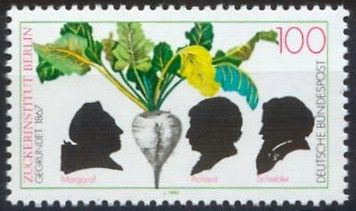 Andreas Marggraf, Beet, Franz Achard and Carl Scheibler