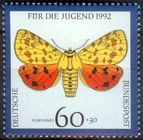 Purple Tiger (Rhyparia purpurata)