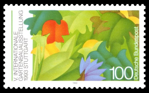 Plants