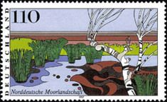 Moorland in Northern Germany