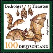 Greater Horseshoe Bat (Rhinolophus ferrumequinum)