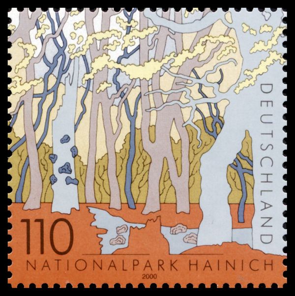Hainich National Park