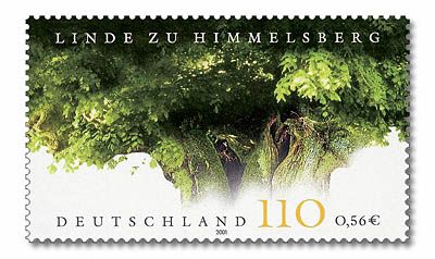 Lime Tree, Himmelsberg