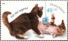 Domestic Cat: Kittens with Balls of Wool