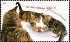 Domestic Cat: Kittens with Ball