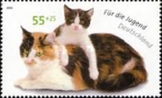 Domestic Cat: Mother with Kitten