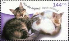 Domestic Cat: Sleeping