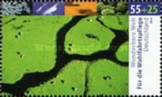 Temperate Latitude