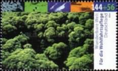 Tropical rainforest Galapagos islands