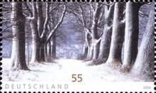 Wintertime