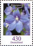 Field Larkspur (Consolida regalis)