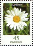Daisy