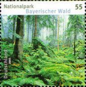 Bavarian Forest national park