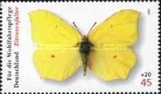 Common Brimstone (Gonepteryx rhamni)