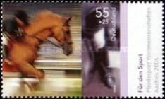 Show Jumping