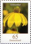 Coneflower (Rudbeckia fulgida)