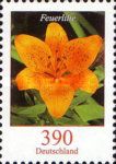 Fire Lily (Lilium bulbiferum)