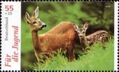 Western Roe Deer (Capreolus capreolus)