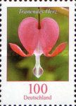 Bleeding Heart (Lamprocapnos spectabilis)